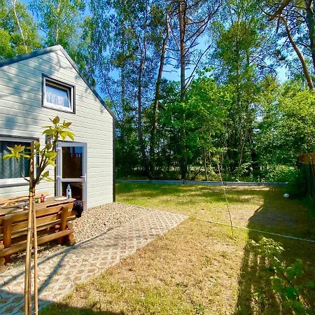 Nad Morzem- Family - Pirata 2 *